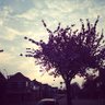 Jay C profil fotoğrafı