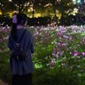 彩美丸♥c( ´ω`っ )3's profile picture