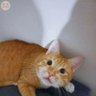 piyak piyak 的头像