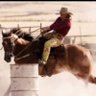 Beer for My Horses's profile picture