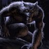 Profilbild von Bayou Rougarou