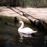 Фото профиля hoann