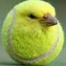 lowkirkenuinely's profile picture