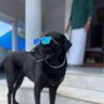 Bharath profil fotoğrafı