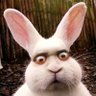 Hyper Rabbit profil fotoğrafı