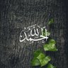 Фото профиля Mohamad Wasem