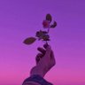 youngfal🍉's profile picture