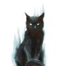 blackcat profil fotoğrafı