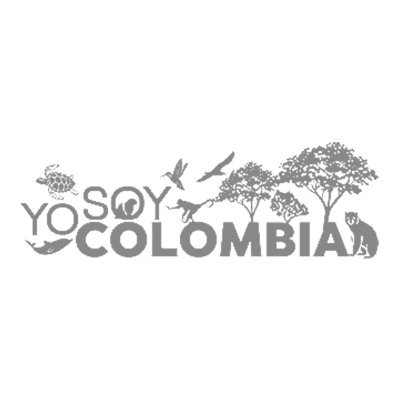 YoSoyColOficial's profile picture