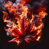 🇨🇦 True North Resurgence 🇨🇦 profil fotoğrafı