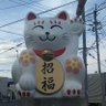 くろねこ profil fotoğrafı