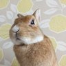 たかし 的头像