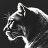 Фото профиля Cougar Laymon