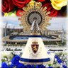Mañico✝️🇪🇸 的头像