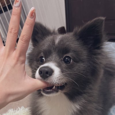 nuinui_yomumu's profile picture