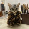 rhina crub's profile picture