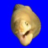 ゆうんきー profil fotoğrafı