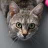 Sarah & Chanel's profile picture