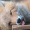 Th13f_13's profile picture