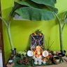 Фото профиля Subash P.T