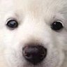 Profilbild von welcomebackjin