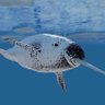 Profilbild von QuantumNarwhal