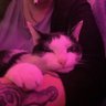 Profilbild von Laurhichi