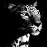 ريِنا|RENA's profile picture