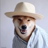 BMD profil fotoğrafı