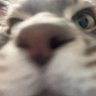 ノンレム's profile picture