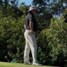 The Golf Dog on X 的头像