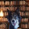 Profilbild von gypsie pup
