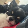 酒ノメナイ金ナイ's profile picture