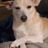 Jill's profile picture