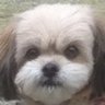 Profilbild von Yoh Fiskie