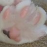 🐾落合🐾れいわオーナーズ's profile picture