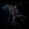Profilbild von TheREDACTEDanglerfish