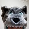 🍉🐺 profil fotoğrafı