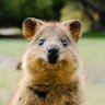 гей кью эй profil fotoğrafı