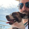 Daniel Gerard's profile picture