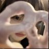 ゆうり's profile picture