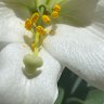 Фото профиля HannahBanana