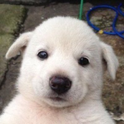 bitchofmath's profile picture