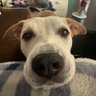 The Dude's profile picture