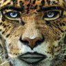 Nousar00 profil fotoğrafı
