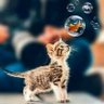 نور الهدى 的头像