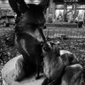 Profilbild von 🖤 INARI🖤