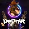 Profilbild von CryptoistheFutur