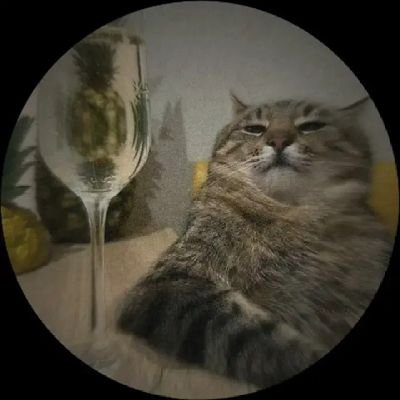Mr. Qirayni's profile picture