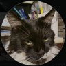 Narugit ζ's profile picture